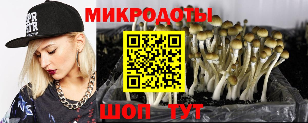 Миллерово  Псилоцибиновые грибы MAGIC MUSHROOMS  Вход с VPN 